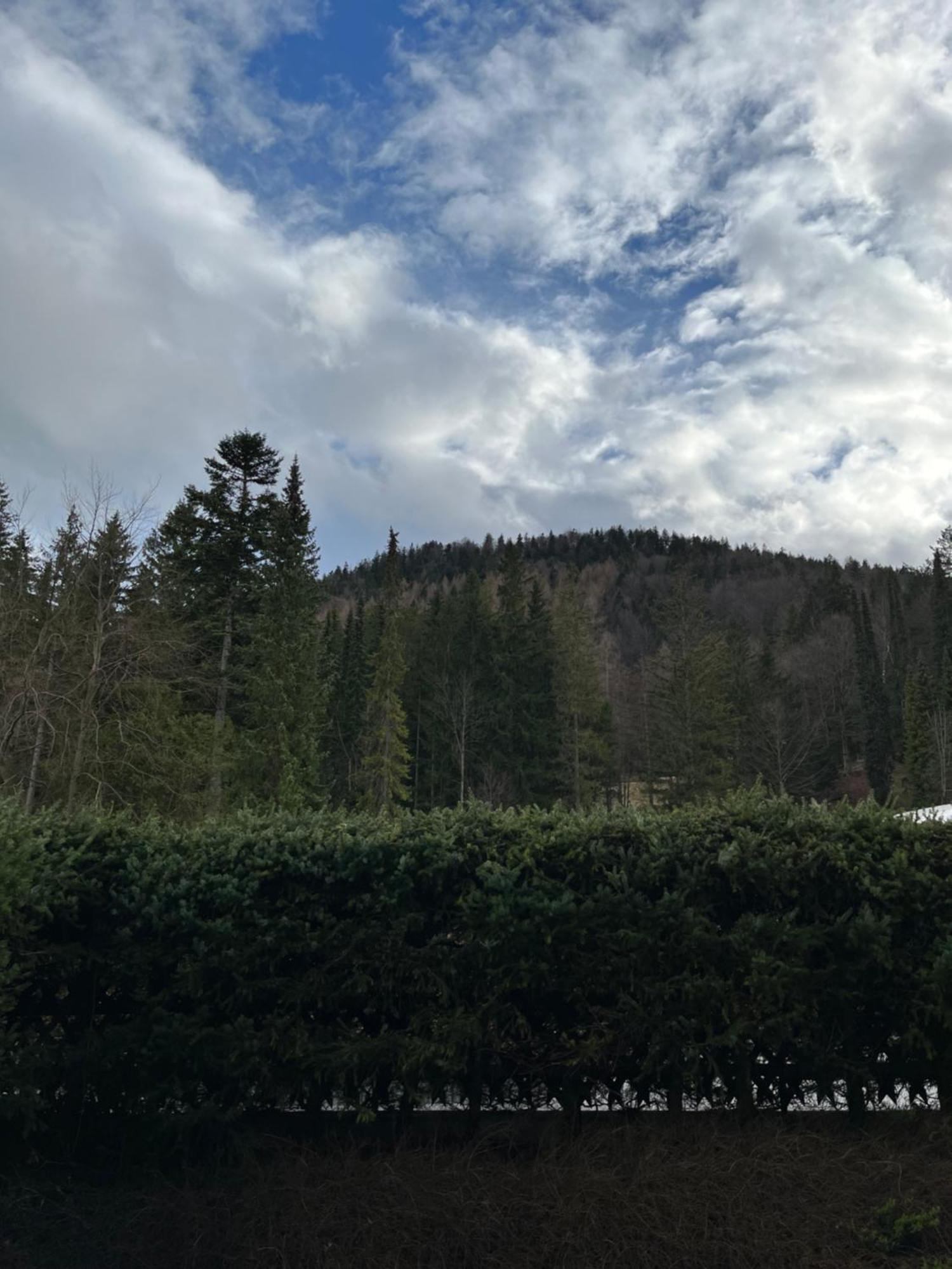 Fewo Lautersee Mittenwald Esterno foto