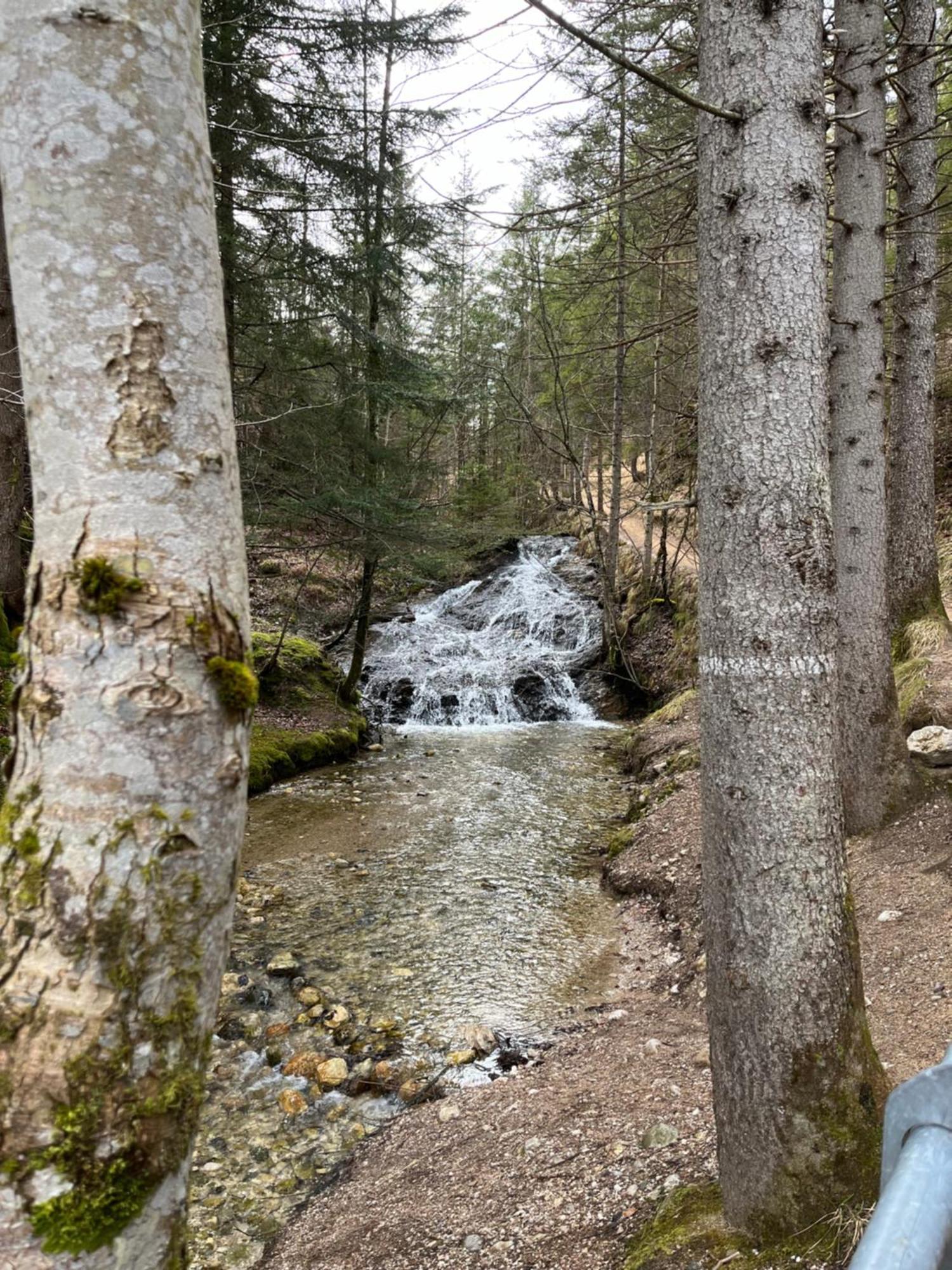Fewo Lautersee Mittenwald Esterno foto