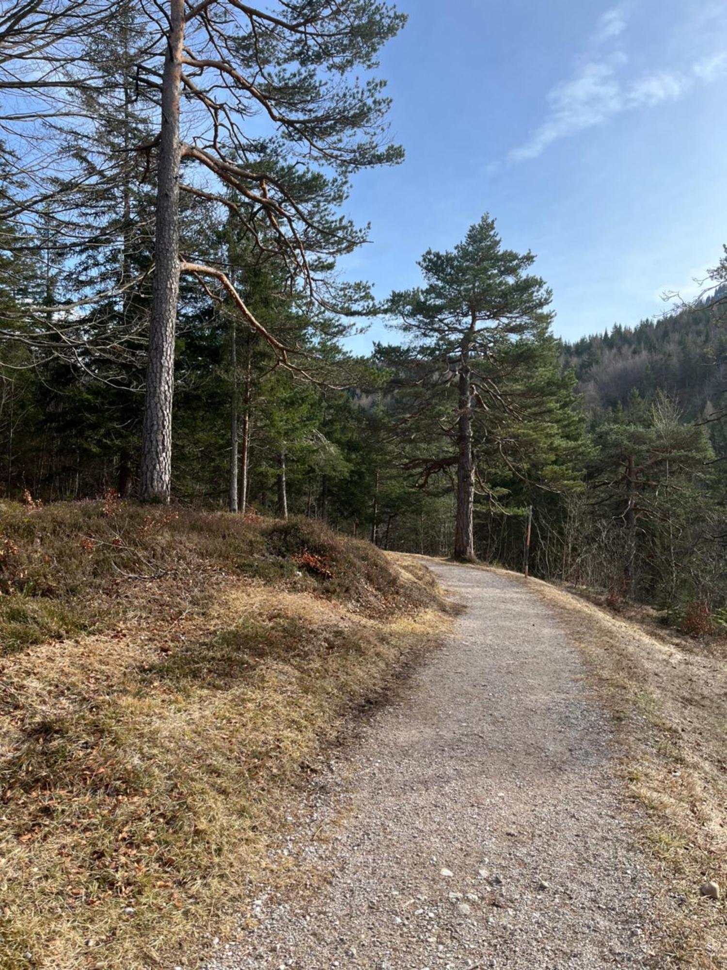 Fewo Lautersee Mittenwald Esterno foto