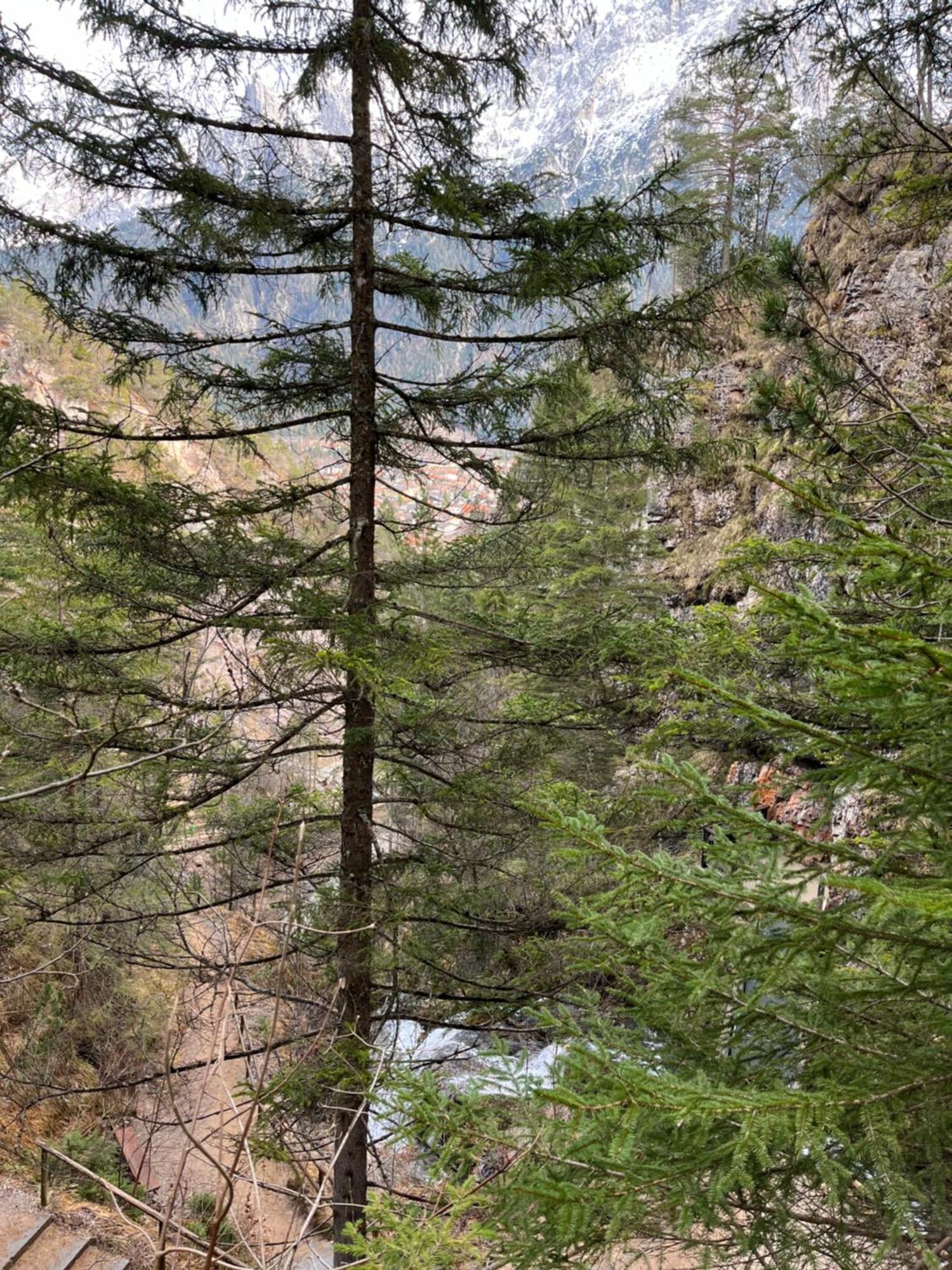 Fewo Lautersee Mittenwald Esterno foto